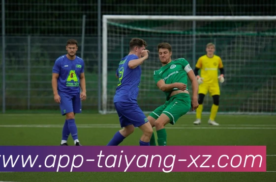 太阳城平台生态图